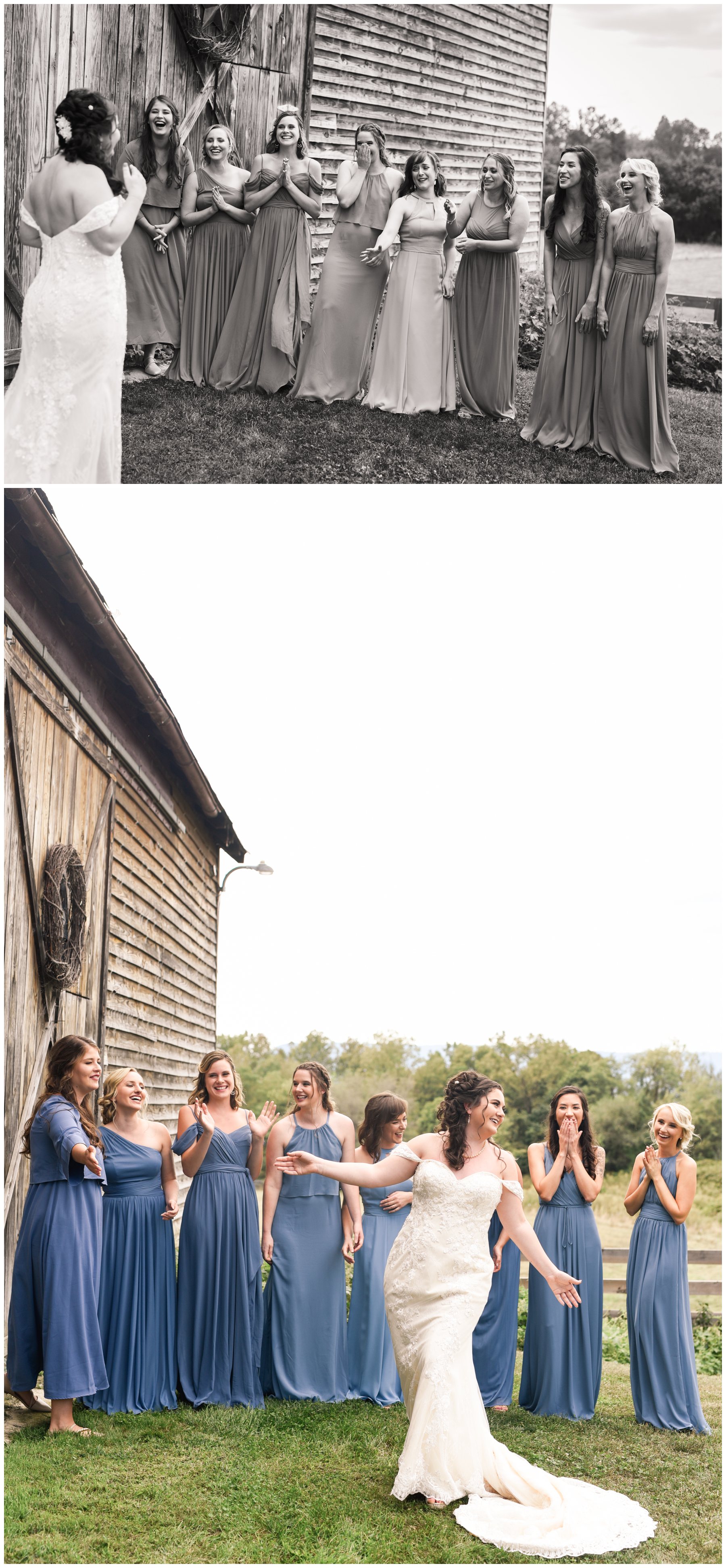 Daniel Jackson Studios - 190907_DSC3839-daniel-jackson-studios-wedding-engagement-photography-virginia-alabama-north-carolina-tennessee-georgia-khimaria-farm-summer-mountain-luray_blogstomp.jpg