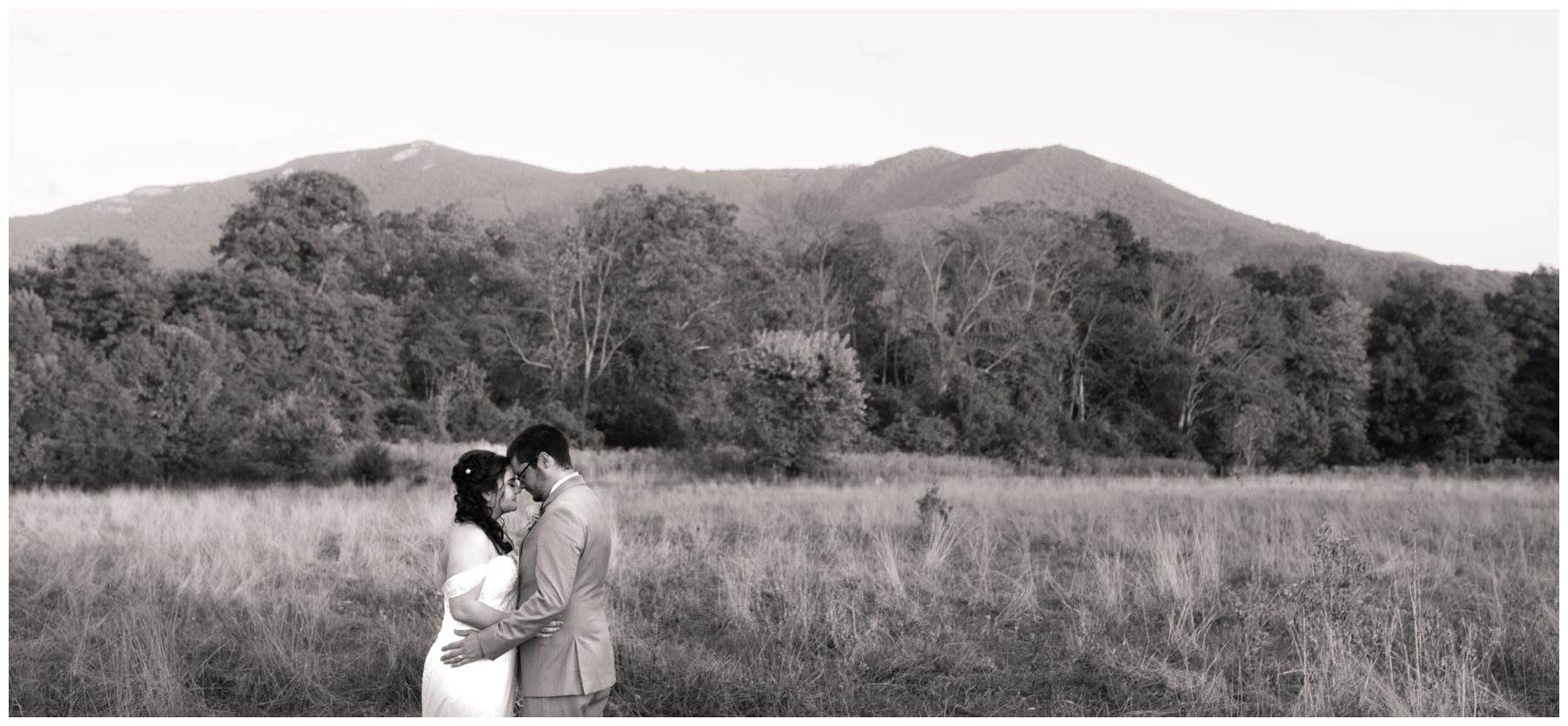 Daniel Jackson Studios - 190907_DSC5171-daniel-jackson-studios-wedding-engagement-photography-virginia-alabama-north-carolina-tennessee-georgia-khimaria-farm-summer-mountain-luray_blogstomp.jpg